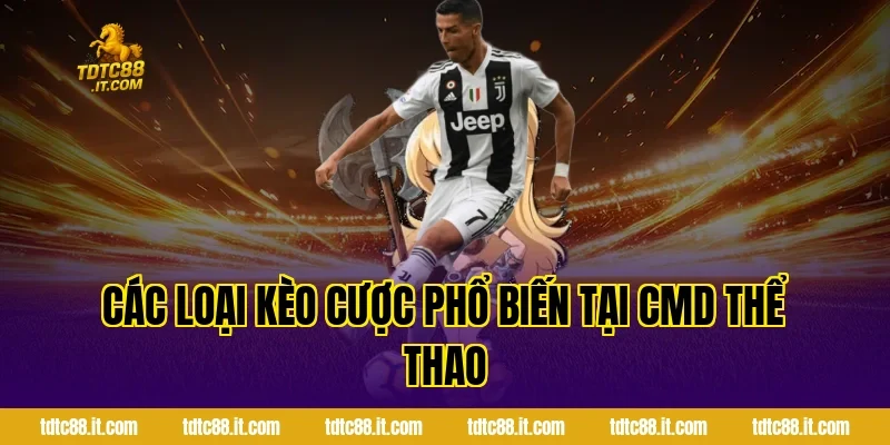 CMD Thể Thao – Nhà Cung Cấp Cá Cược Uy Tín Hàng Đầu 3 Các Loại Kèo Cược Phổ Biến Tại CMD Thể Thao