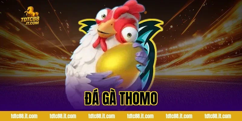 Đá Gà Thomo – Trường Gà Nổi Tiếng Campuchia Cho Tân Thủ 16 Đá Gà Thomo – Trường Gà Nổi Tiếng Campuchia Cho Tân Thủ