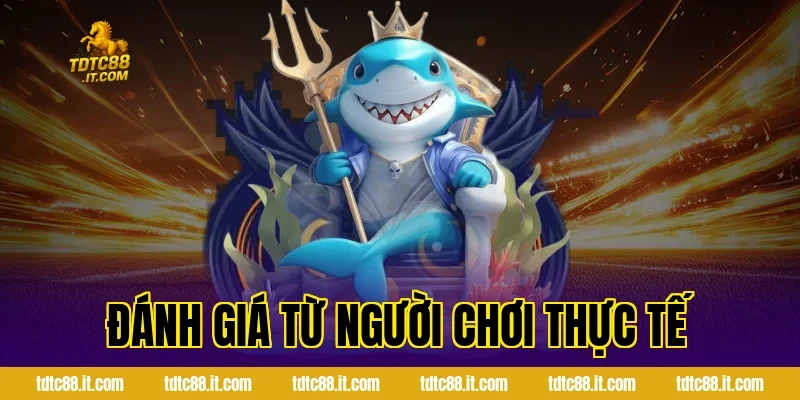 CMD Thể Thao – Nhà Cung Cấp Cá Cược Uy Tín Hàng Đầu 5 Đánh Giá Từ Người Chơi Thực Tế