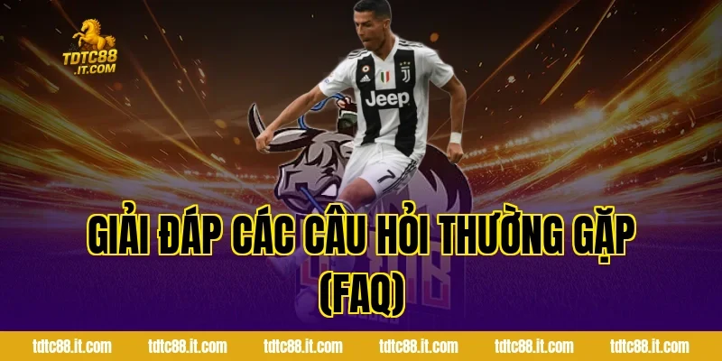 SBOBET Thể Thao – Cá Cược Bóng Đá Uy Tín Nhất Hiện Nay 6 Giải Đáp Các Câu Hỏi Thường Gặp (FAQ)
