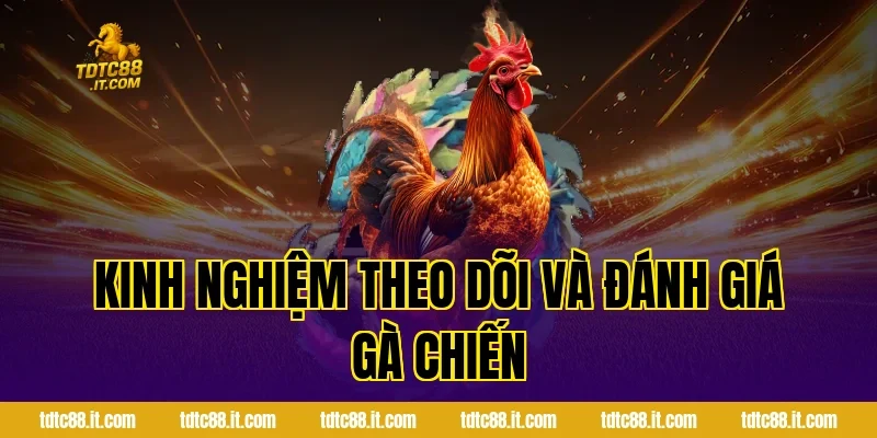 Đá Gà Cựa Sắt Hôm Nay – Thông Tin Và Nhận Định Hot 3 Kinh Nghiệm Theo Dõi Và Đánh Giá Gà Chiến