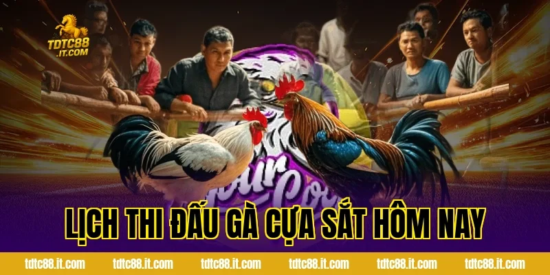 Đá Gà Cựa Sắt Hôm Nay – Thông Tin Và Nhận Định Hot 1 Lịch Thi Đấu Gà Cựa Sắt Hôm Nay