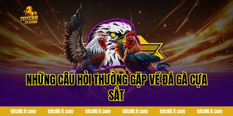 Đá Gà Cựa Sắt Hôm Nay – Thông Tin Và Nhận Định Hot 4 Những Câu Hỏi Thường Gặp Về Đá Gà Cựa Sắt